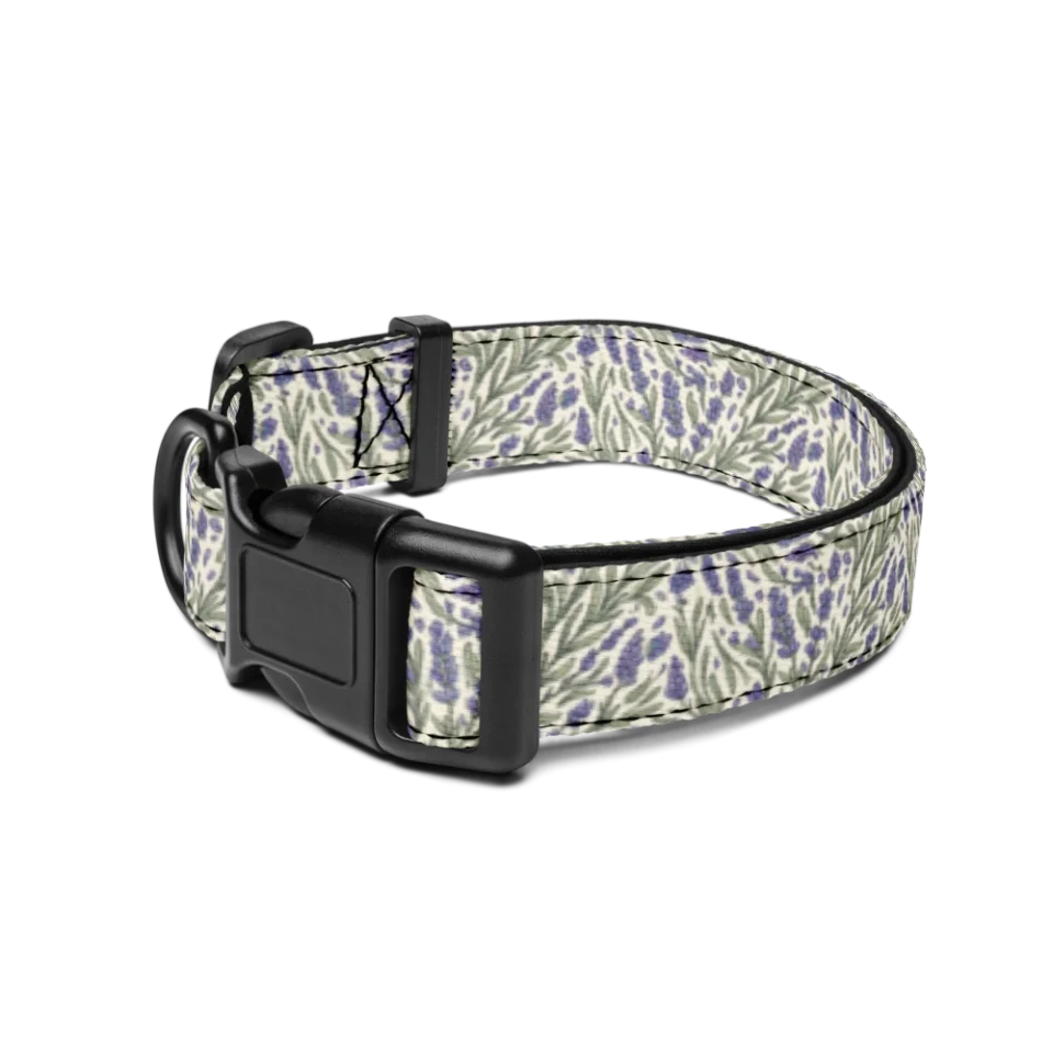 Pet Collar