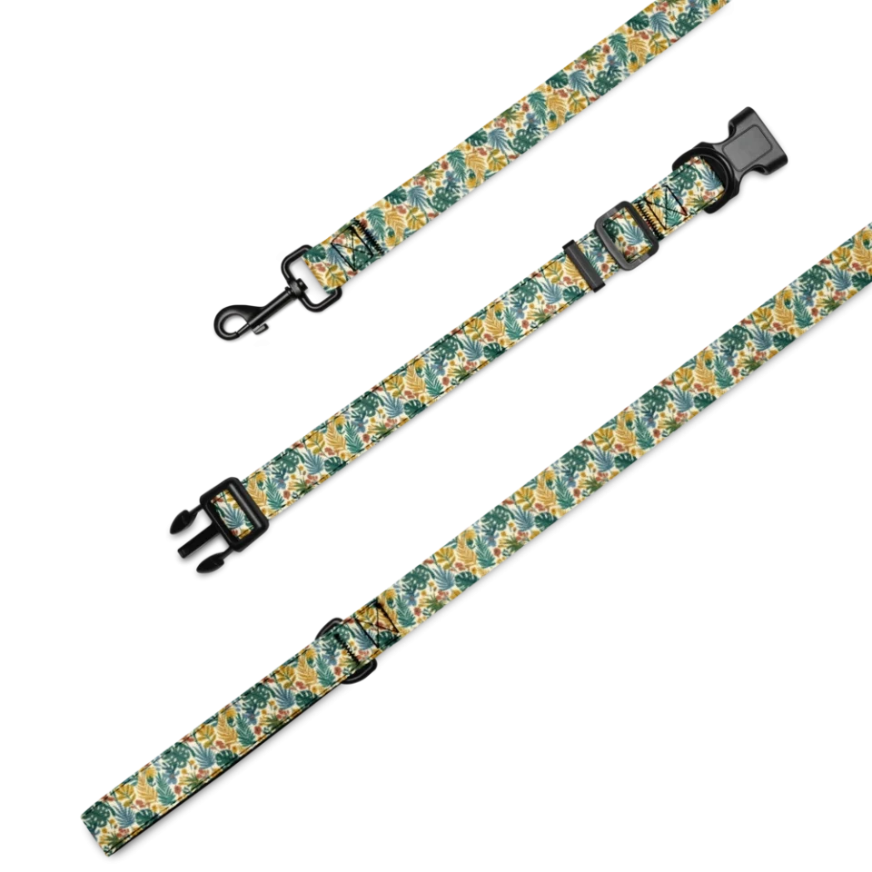 Collar & Leash Set