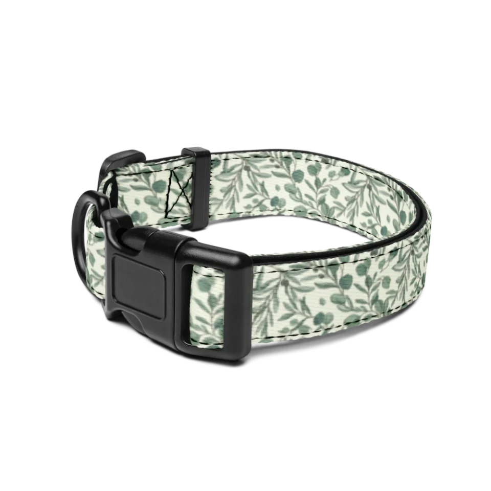 Pet Collar