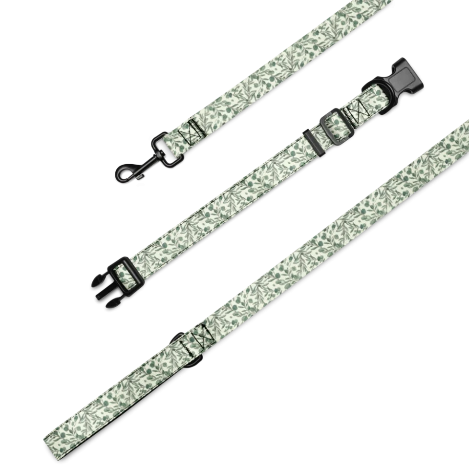 Collar & Leash Set