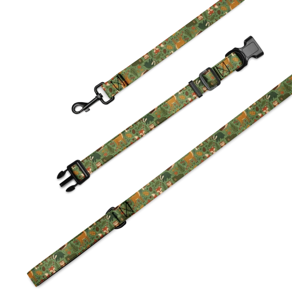 Collar & Leash Set