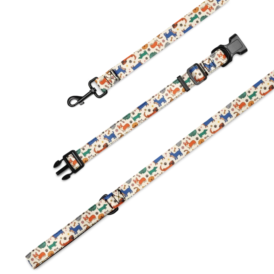 Collar & Leash Set