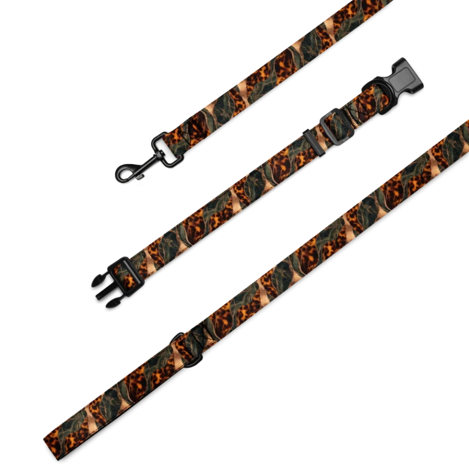 Collar & Leash Set