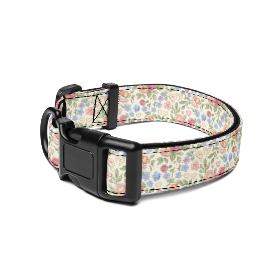 Pet Collar