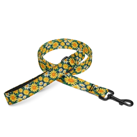Golden Hour Stylized Daisy Sweep
