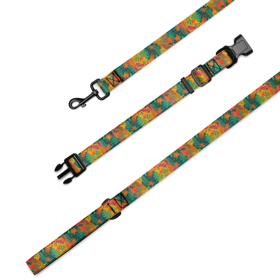 Collar & Leash Set