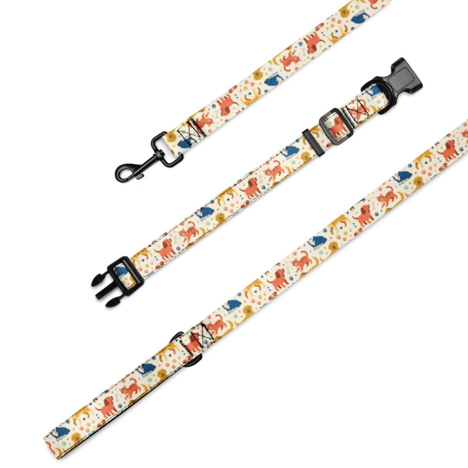 Collar & Leash Set