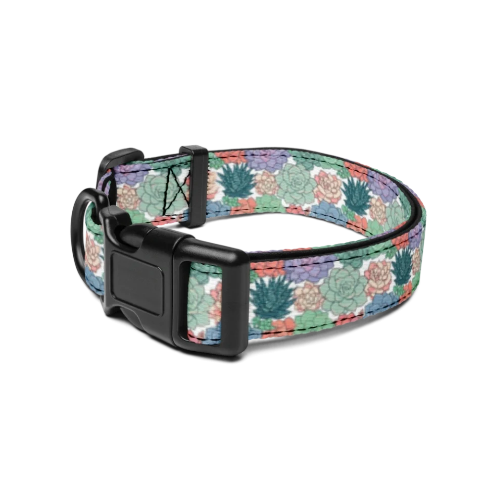 Pet Collar