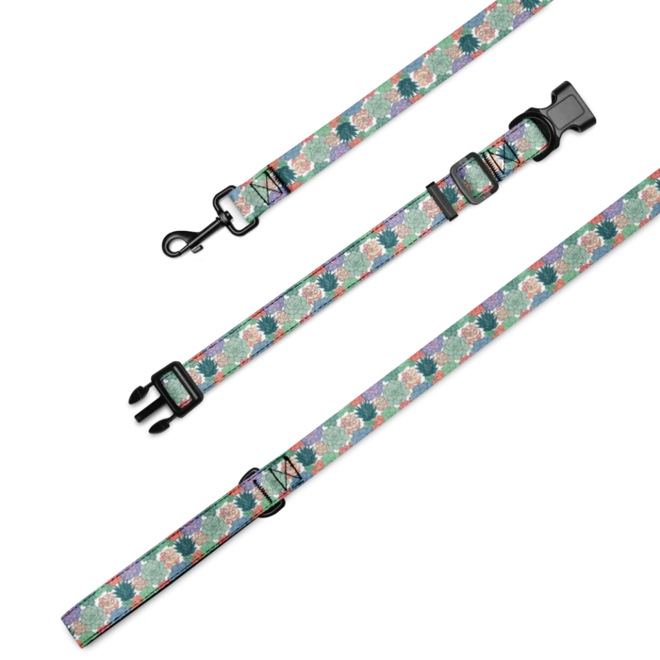 Collar & Leash Set