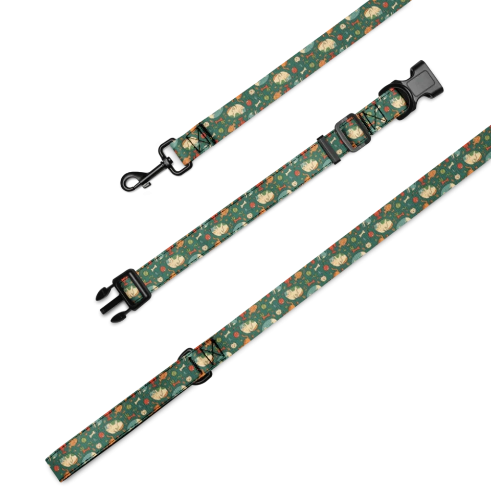 Collar & Leash Set