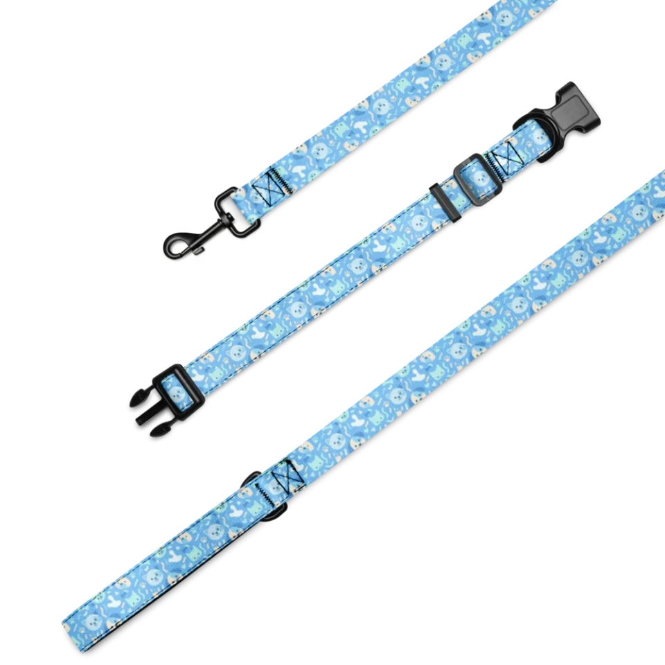 Collar & Leash Set