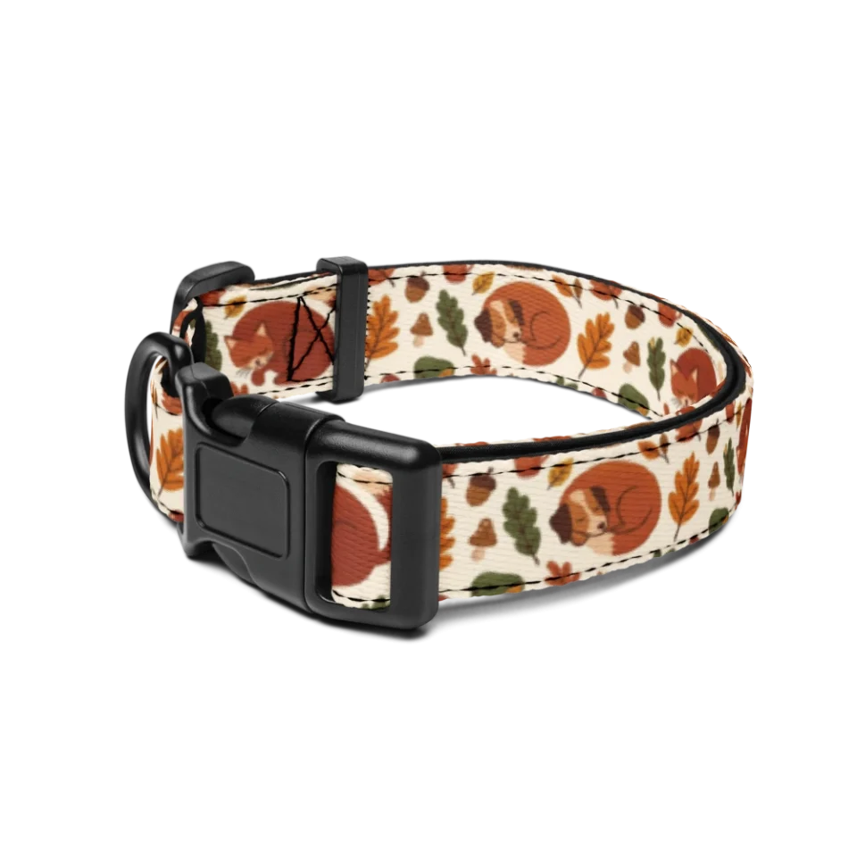 Pet Collar