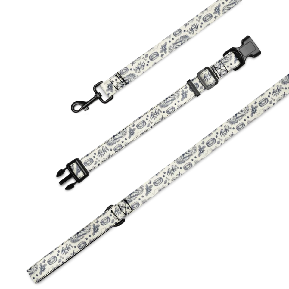 Collar & Leash Set