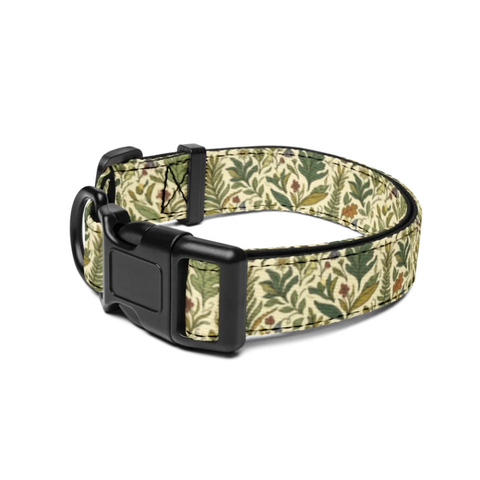 Pet Collar
