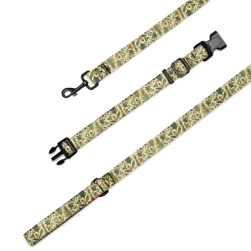 Collar & Leash Set