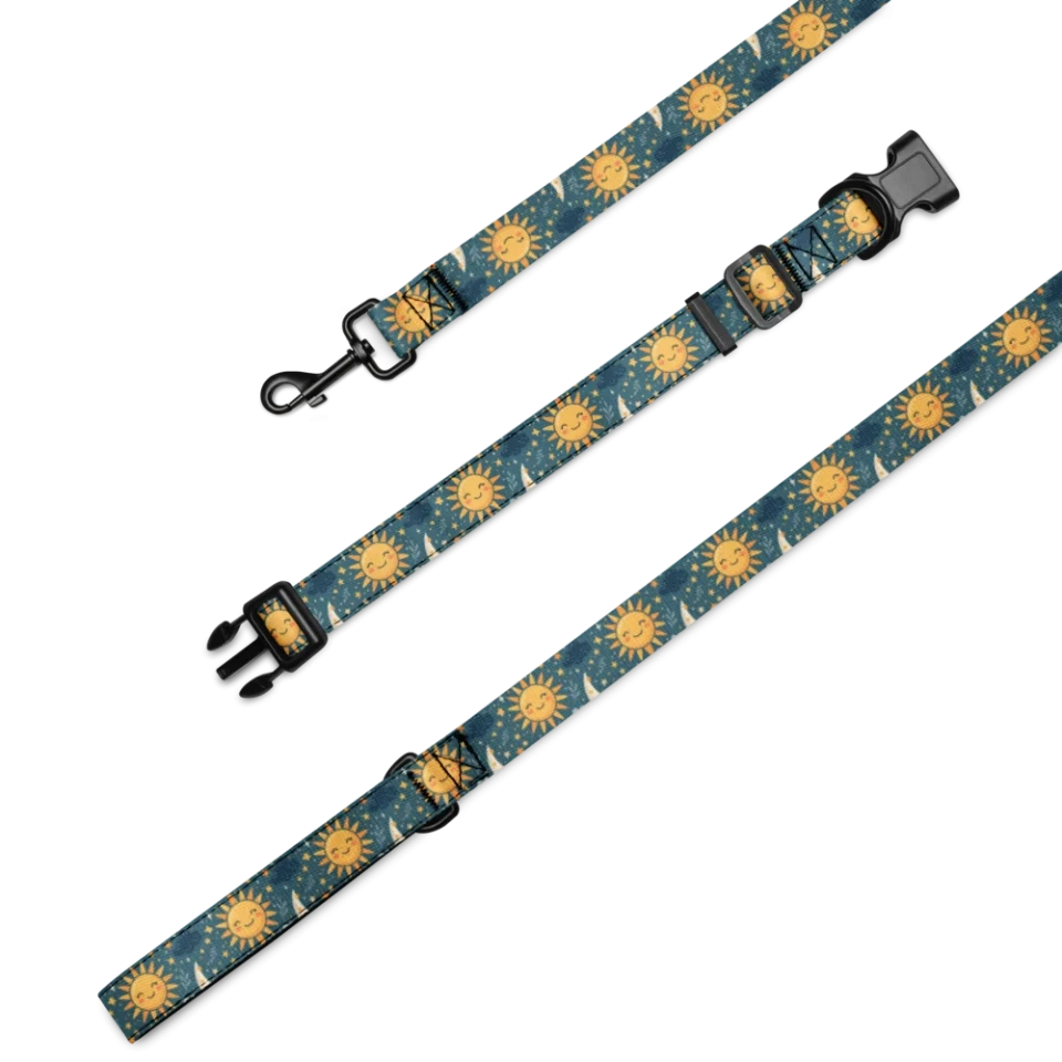 Collar & Leash Set