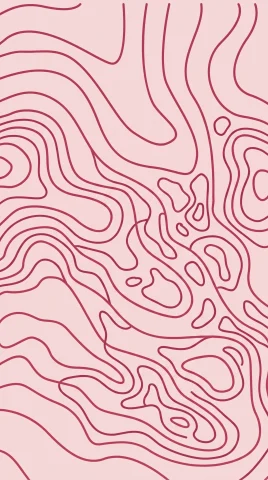 Line Art phone case designs