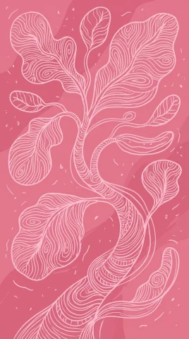 Line Art phone case designs